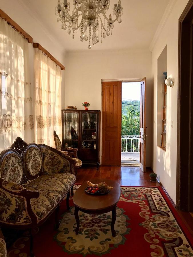 Guest House Nona كوتايسي المظهر الخارجي الصورة